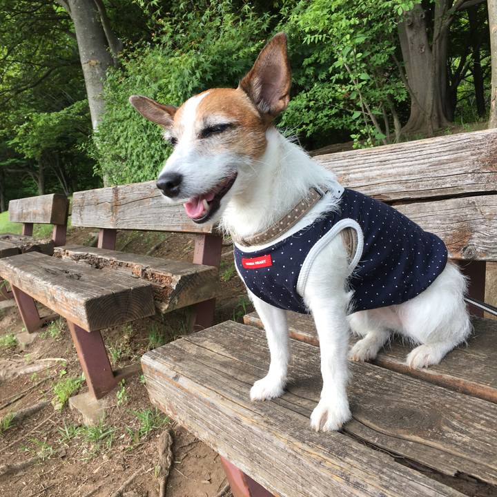 B8f84b4e 10b3 4d9d 8dde 4ff565e72b8d 1559864713535