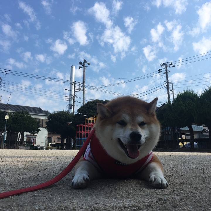 B8f84c08 e7c8 4148 8b13 854d67f191be 1597362350951