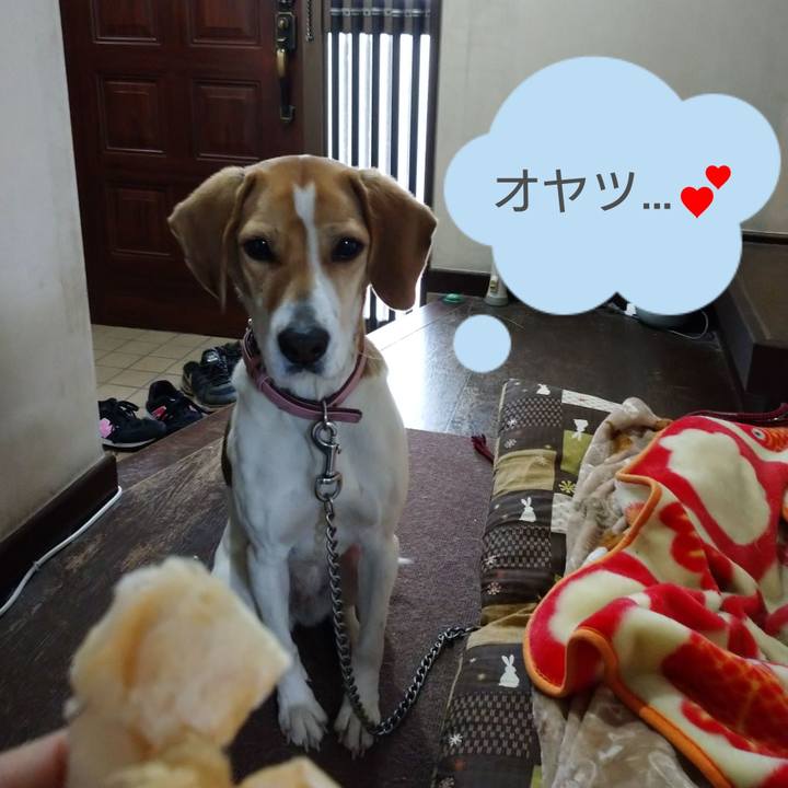 B8f8997c f9ec 4c6d 8332 af9163759400 1583653052962