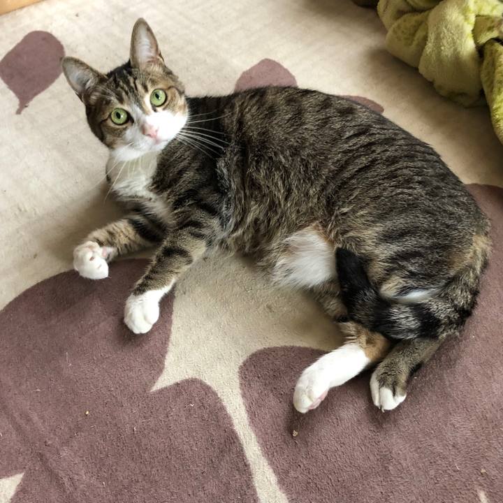 B8f91b8d e70e 46a5 a483 24fa299f52eb 1653524581829