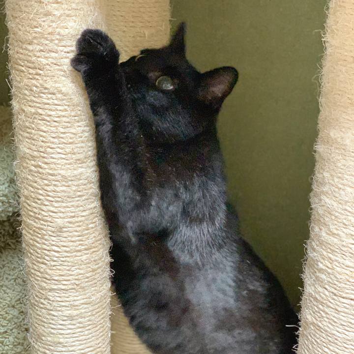 B8f929b1 824a 499c 8df7 b3ed652ae0f6 1587260288663