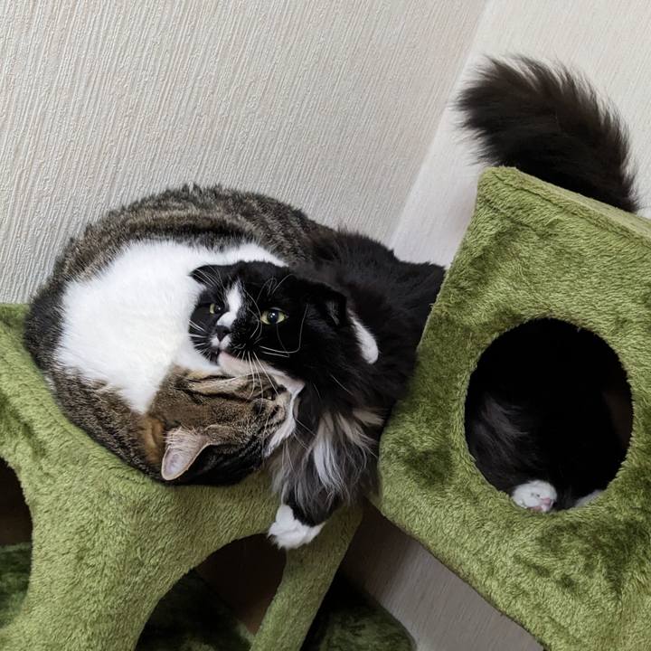 B8f931f4 a815 4649 953e 88e3cb527920 1689587676665