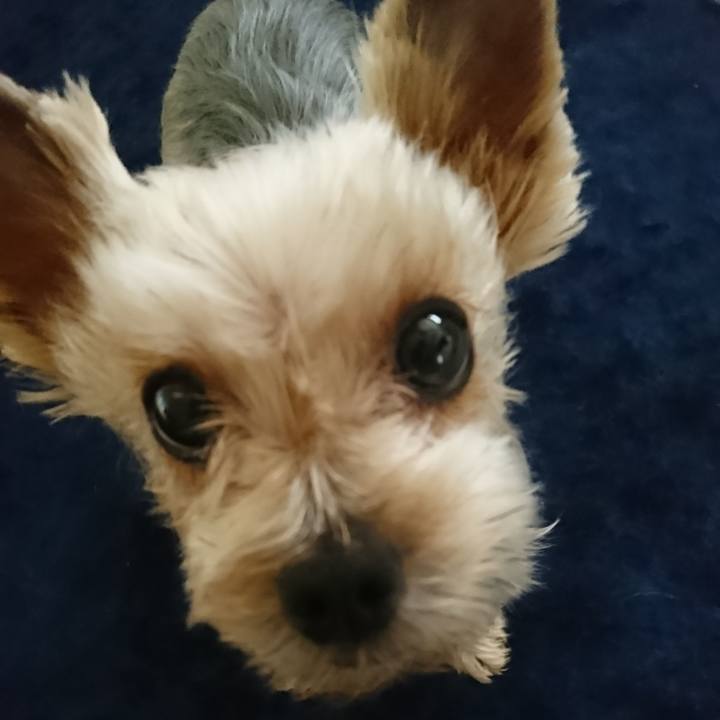 B8f96787 6c68 46c0 a9af 96aa2cd1bb17 1541822740274