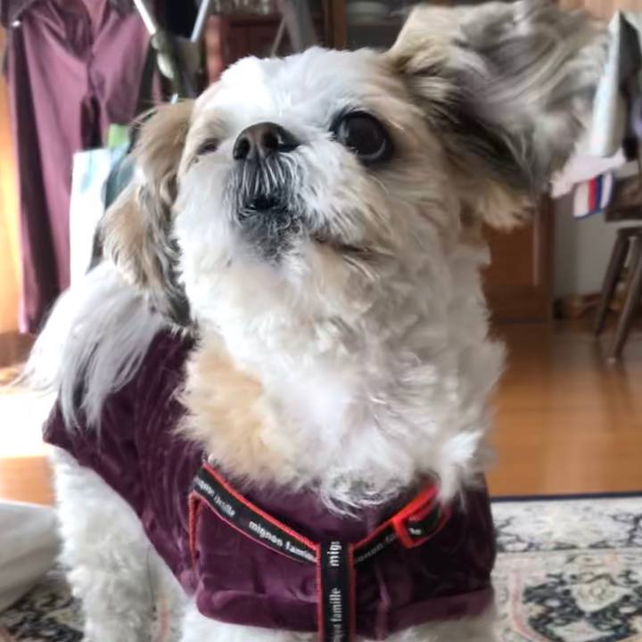 B8f9a0c1 fc16 4301 9ac6 a7cc22d8e26f 1582667134605