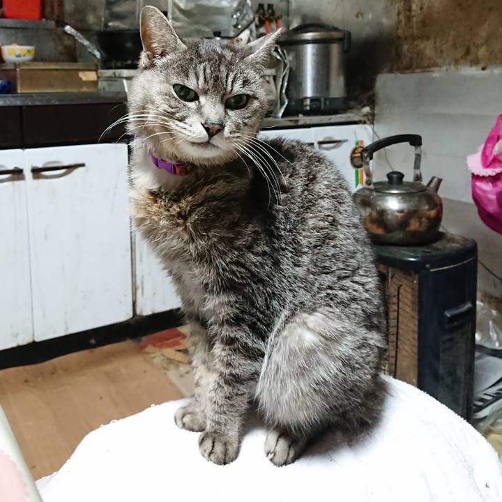 B8f9f7d5 3029 4854 9232 539cf57b4577 1585514026744