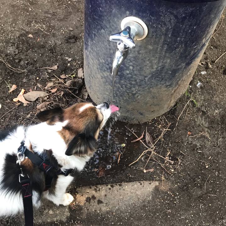 B8f9fa26 8cae 4d1a 9c51 6d35d22a9be8 1678328066644