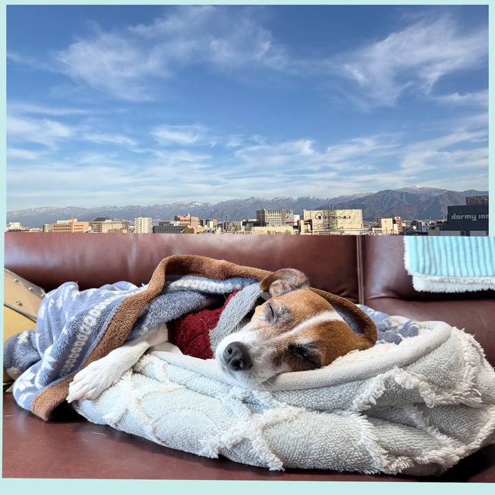 B8fa17e9 5629 40ec 9c0e e975611d6680 1766471307873