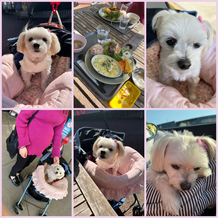 B8fa34d4 01fe 4cdb ba2c 9257daf4d429 1667980735206