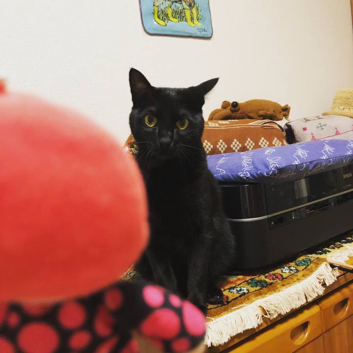 B8fa5a6f 62ec 4875 bd15 9d4732ff2475 1529066215283