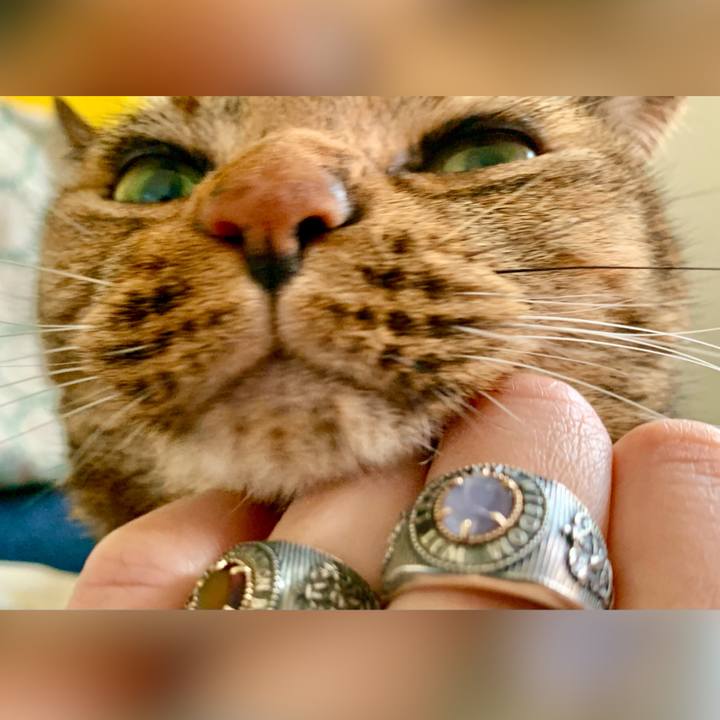 B8fa5c0b e998 4040 89b4 3e86f8b6427e 1690810677350