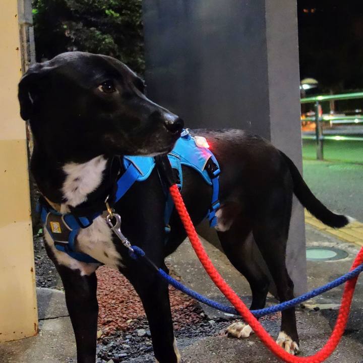 B8fa6427 8a0e 4ffb 831f 6ccd74149685 1605791863588