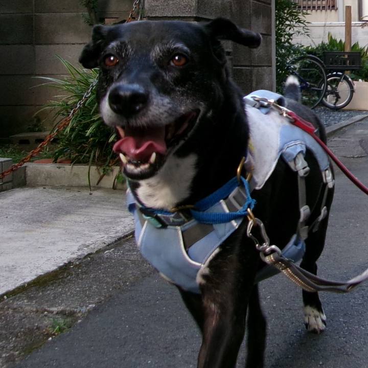 B8fa8033 34f5 4bf3 be3f 93e6b7b5e603 1754353031001