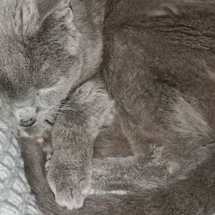 B8facdf1 de36 4555 a587 7895a3278f5b 1680476849344