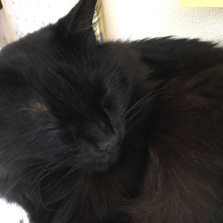 B8fae5b3 0f54 4c64 8e83 9f00641970c4 1557800022550