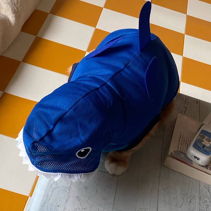 B8fb18b0 5cd2 4e1e af59 c81d07af35e6 1686463587169