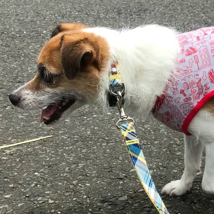 B8fb1c73 c074 421a 84f9 62d09e665e55 1532752399163