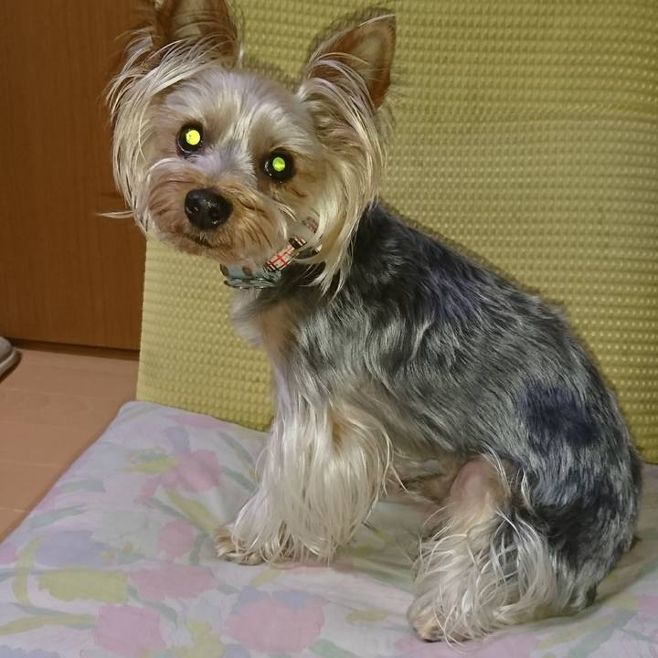 B8fb2a18 590b 45d1 8dad 5a8c5d21dcff 1527737277273