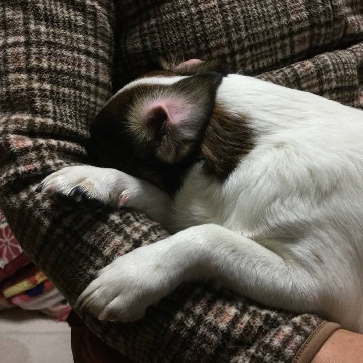 B8fb368b b08e 4edd bd7f 419e11d6963c 1547374363918