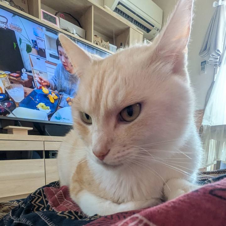 B8fb3cbd e5ec 49f5 8cfd 15b5e5622751 1758165942975