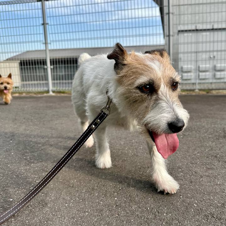 B8fb4ddb 4bc4 42a3 9100 48a997e182c9 1745762764753