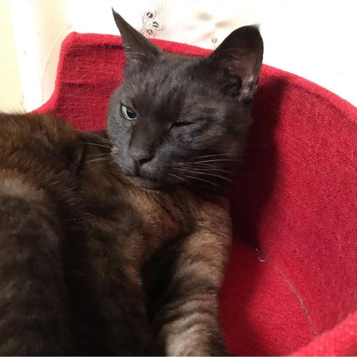 B8fbaccf 98d8 45c7 9386 3d4e0e2b82e8 1642756382792