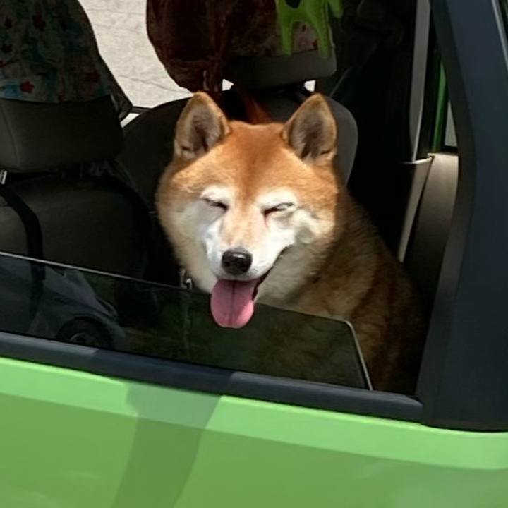 B8fbb0eb edc8 46d0 a84a d9d87dd86855 1656043310195