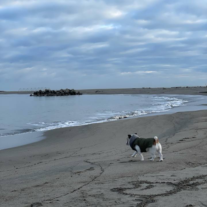 B8fbb216 3f71 4f17 9193 9ef3dfd90af2 1615159894271