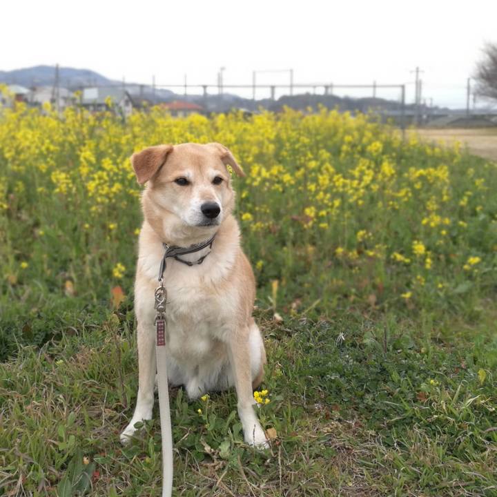 B8fbf2f0 cb1c 4f96 b40a 332f3d576c84 1551269097244