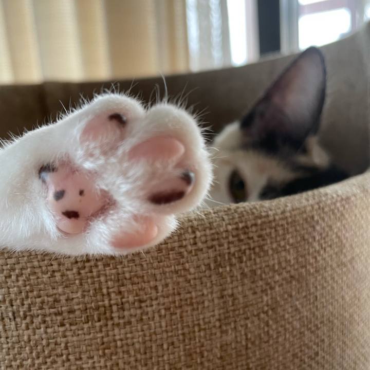 B8fc064d e371 40be 8d45 ebf775a4734c 1661921206885