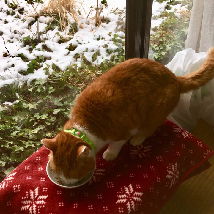 B8fc3647 a4ee 40d0 b328 60d9480c3ddf 1553999054956