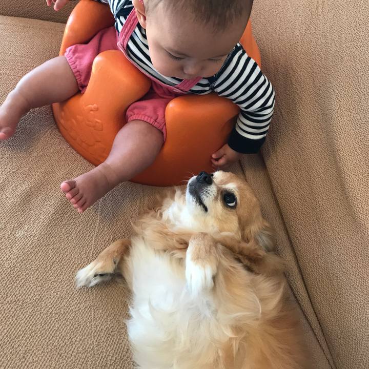 B8fc5a1a 1630 4b4c 921e d5af34f3d6f4 1525932598890