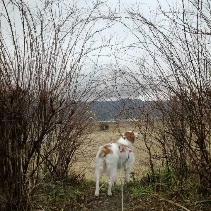 B8fca6b9 cad4 4953 b644 990c8d63d381 1612222777395