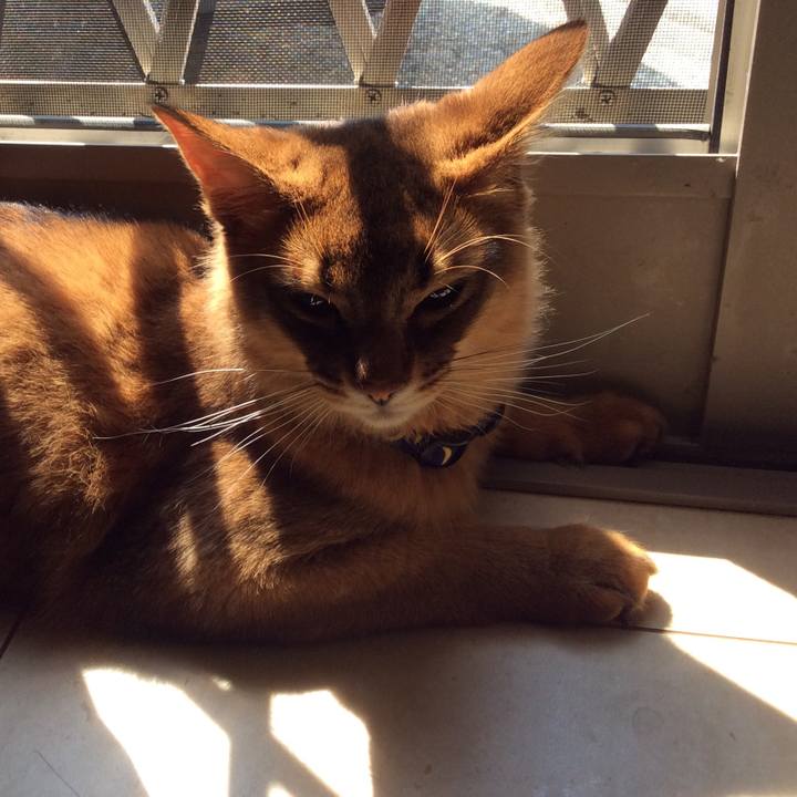 B8fcc197 d936 4e4b b988 3bf5c7a68d23 1586415949261