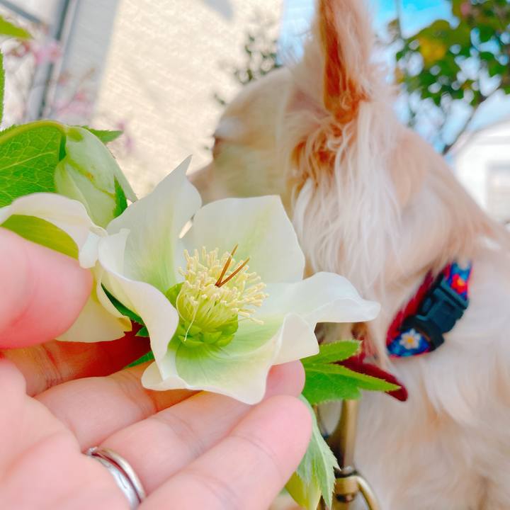 B8fcc2e0 0eac 43c1 a464 a3881b6a2d21 1646122913482