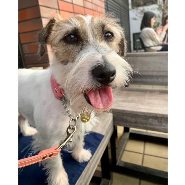 B8fce762 d6ee 4d22 b96a becec59cf0a9 1604833210456