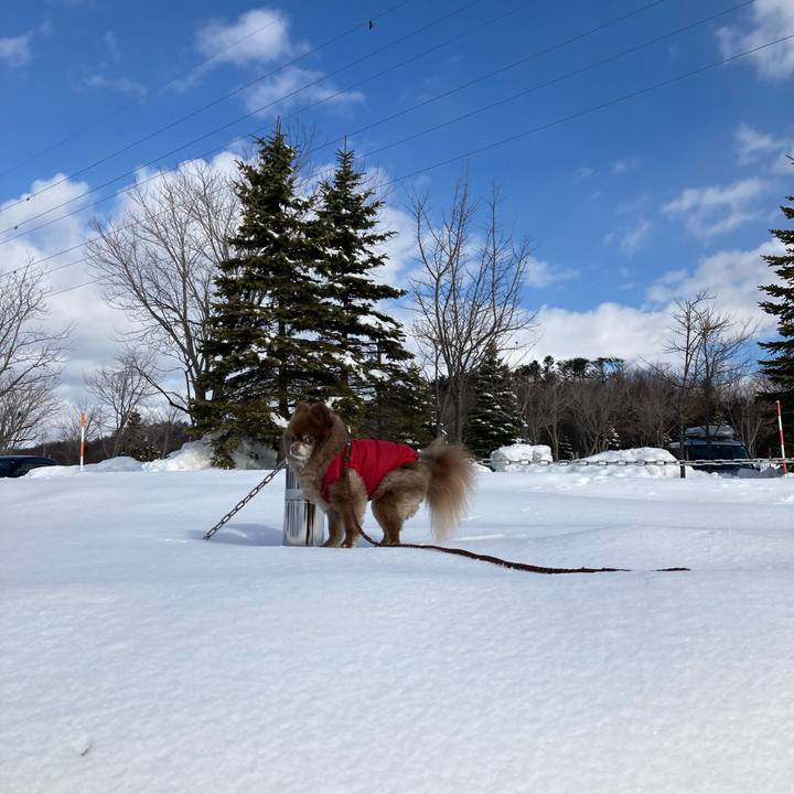 B8fd1c96 9f38 4f7a 993a 2f88eba0ebfe 1646373223659