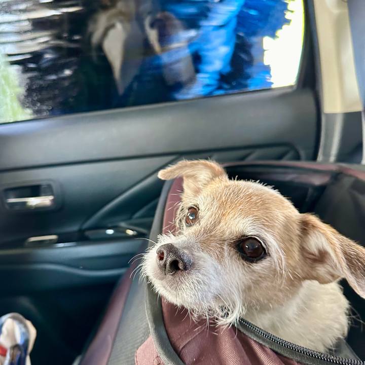 B8fd48e8 a161 499e b693 58f26a794f81 1710569413724