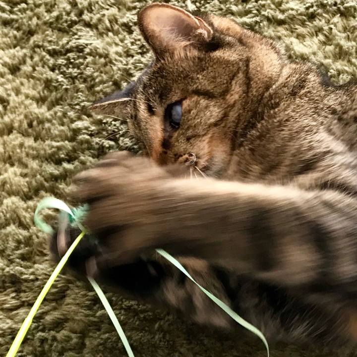 B8fd564c bac1 403b a976 e4a75c2b4bec 1543564687106