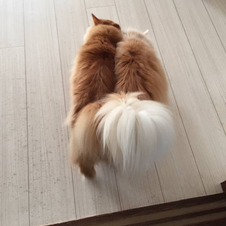 B8fd6c3b fba0 44cd b825 e855ea83e1cc 1558297725116