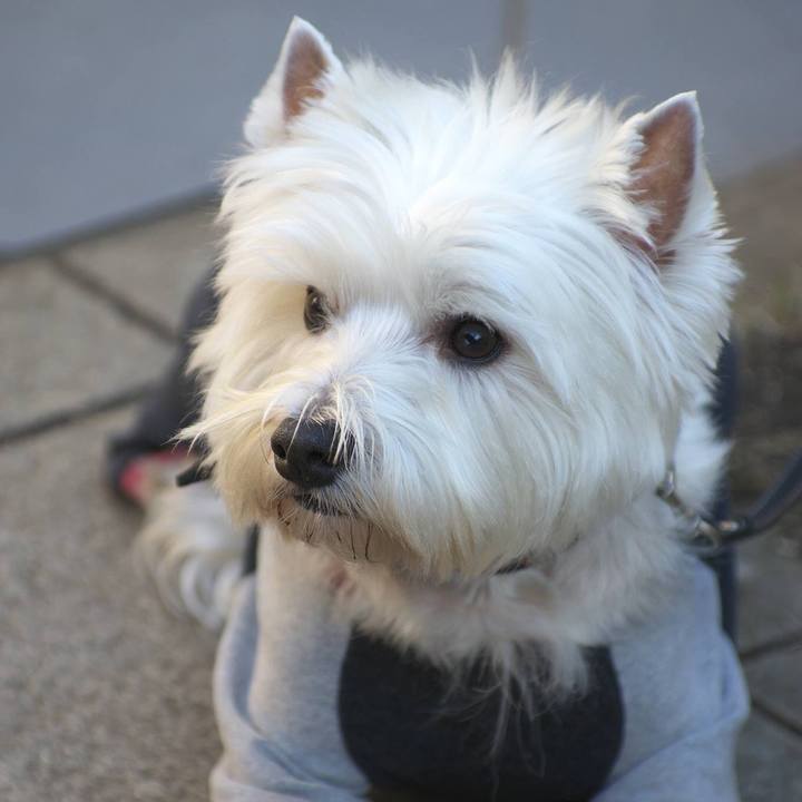 B8fd85bb 2505 4664 832a 3d217881fc51 1514245060891