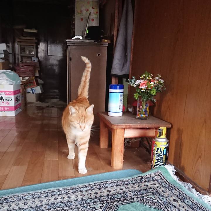 B8fdafc0 33bc 4137 8e87 0aa4f5ed7811 1585558692915