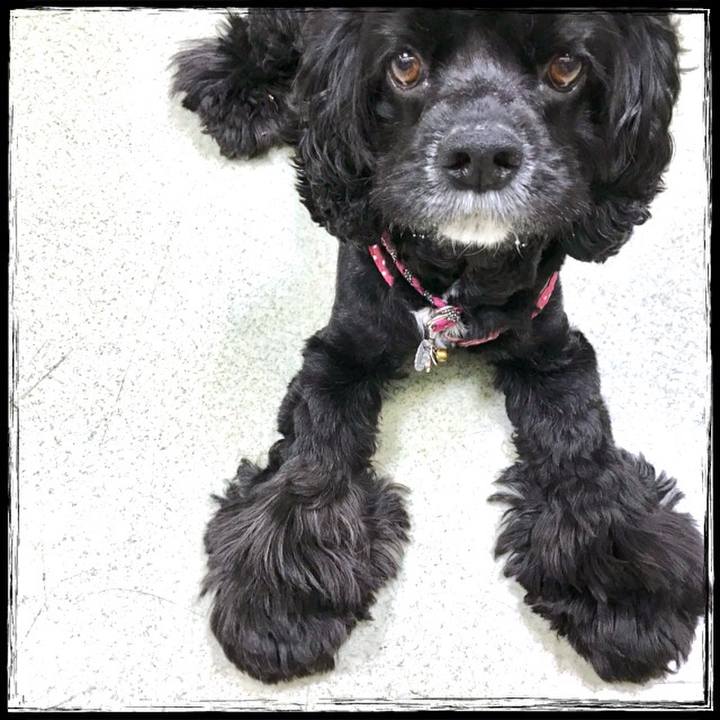 B8fdc562 fa22 49e0 861e 26400be20d09 1570767499236