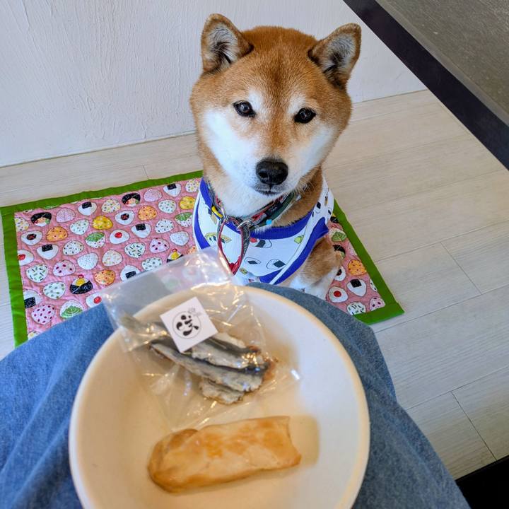 B8fdc7ec 242e 4028 80c5 0b3048daabb1 1773474554003