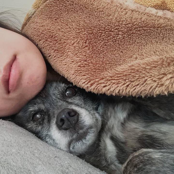 B8fdd904 190f 4bb0 a620 74280e41ec82 1651677643206