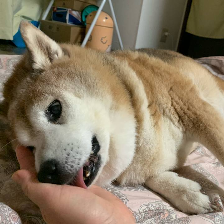 B8fe3ce5 4f78 4b2e b04e 63c08080ad6e 1628426707712