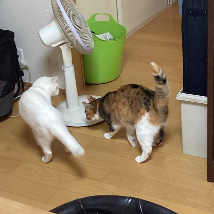 B8fe4a20 140e 4f8c bc2d 9f4ebb1e2e99 1659140195322