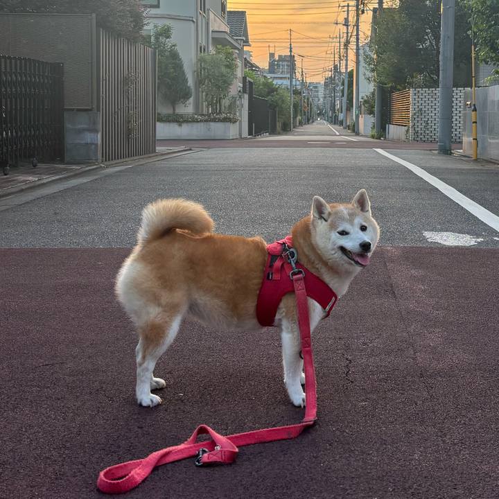 B8fe680d b60d 4235 bd27 ea59d938722c 1755464177931