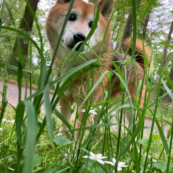 B8fe98f0 1d0b 45bd 8496 32cd2bd88520 1713853293000