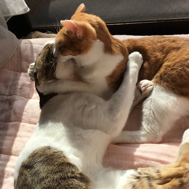 B8feb0d4 fce9 4b7f 823f 3d21a3cbac9f 1510297922942