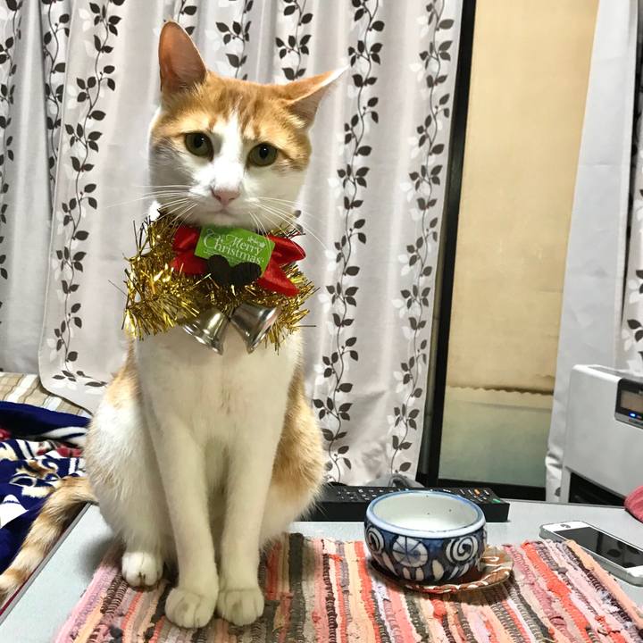 B8feb896 43ae 4f55 a360 8d7ea53ca64f 1514110597729